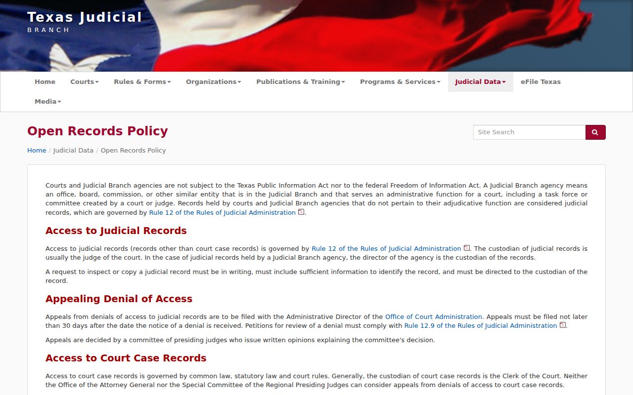 Mitchell County court case records Texas public access policy